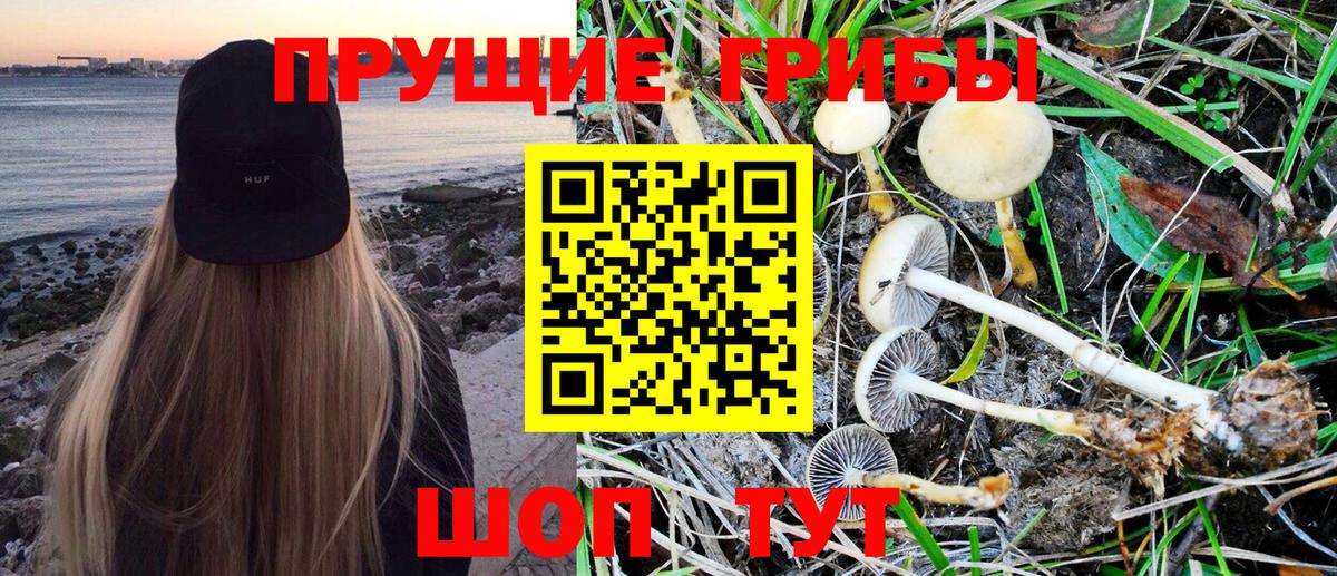Галлюциногенные грибы Cubensis Барнаул